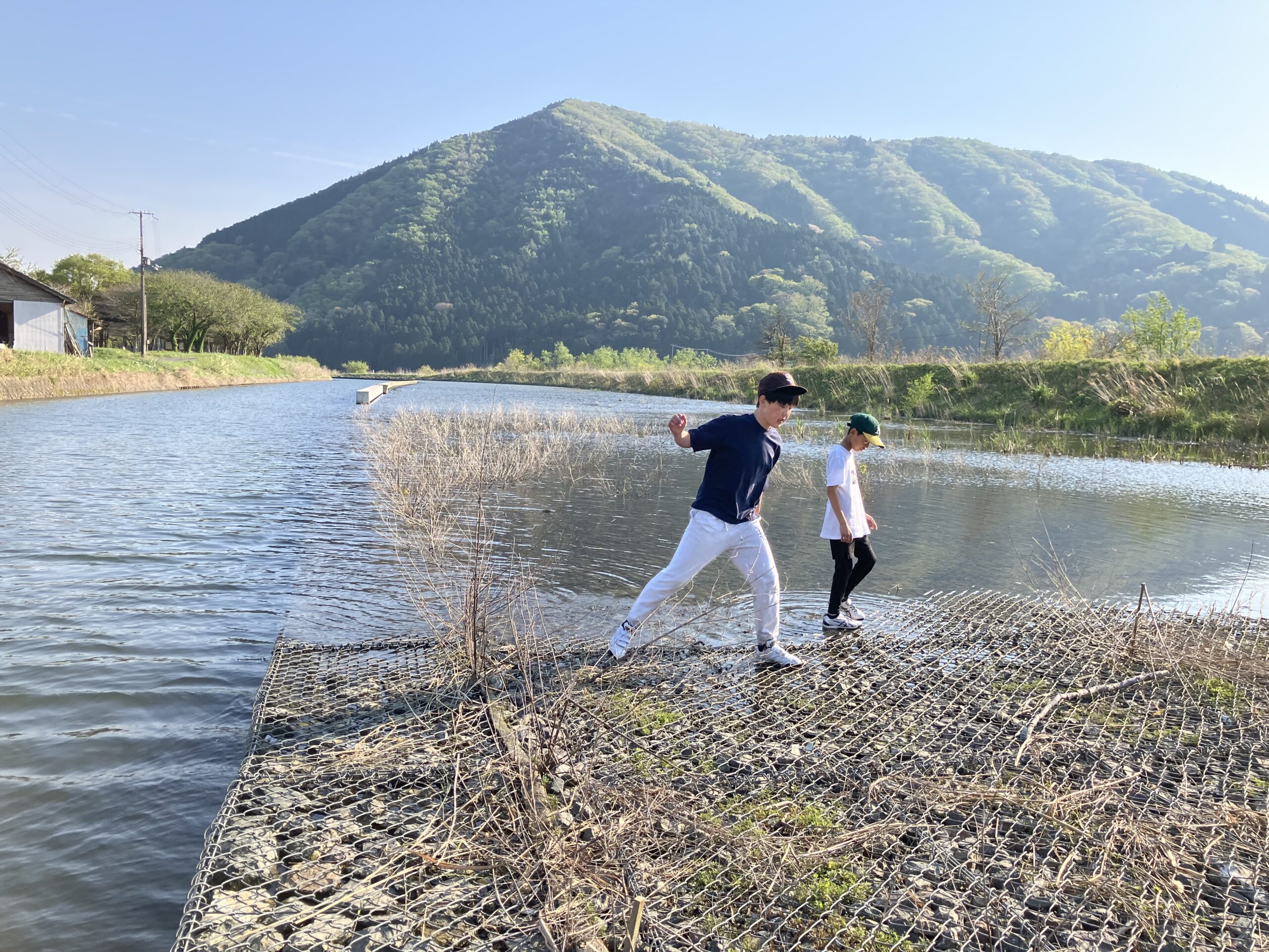 撮りにこんせ‼フォトコンテスト|滋賀・長浜北部|6月10日3枚目 小鮎の遡上待ち