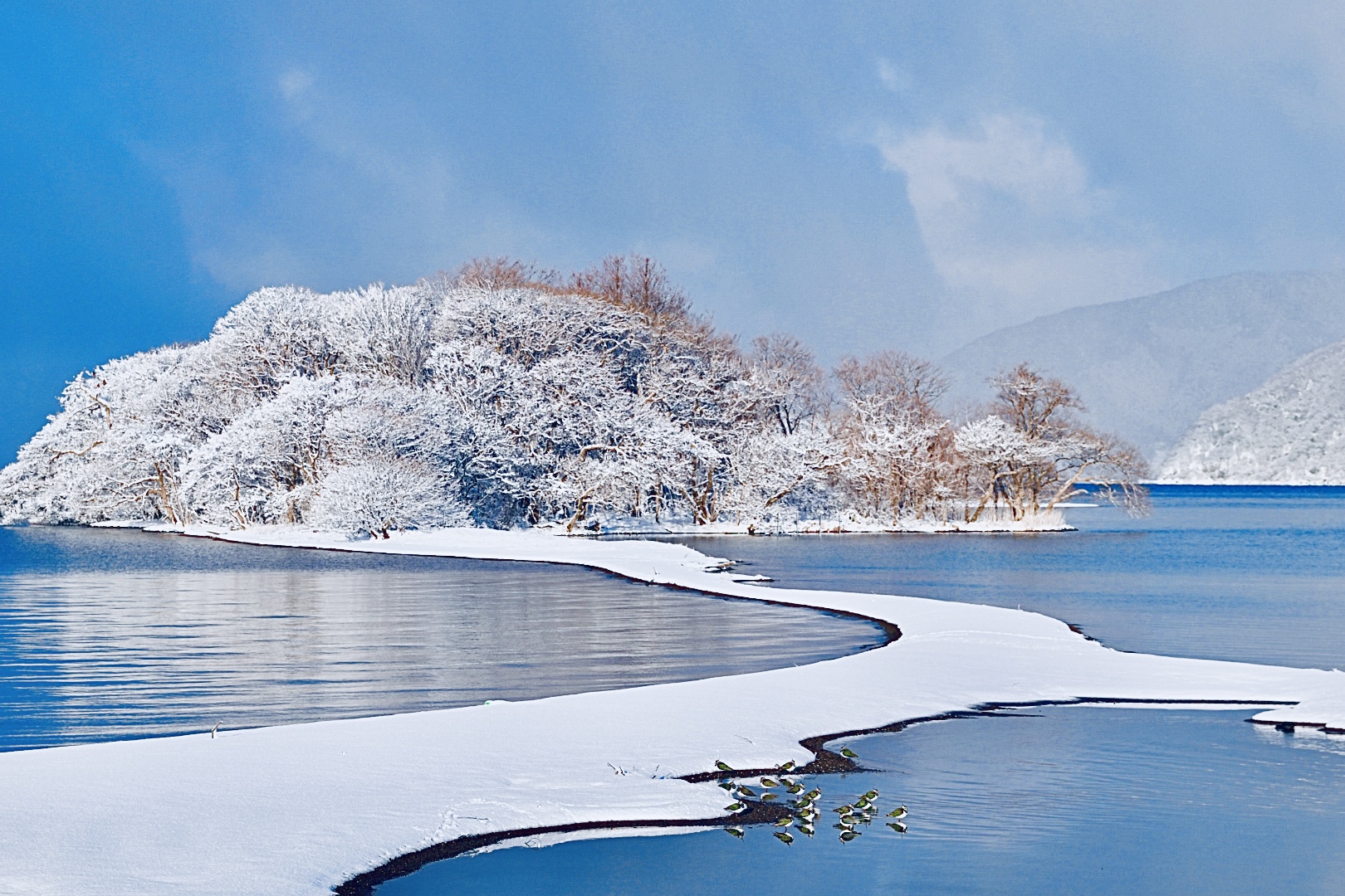 撮りにこんせ‼フォトコンテスト|滋賀・長浜北部|6月25日1枚目 琵琶湖幻雪道