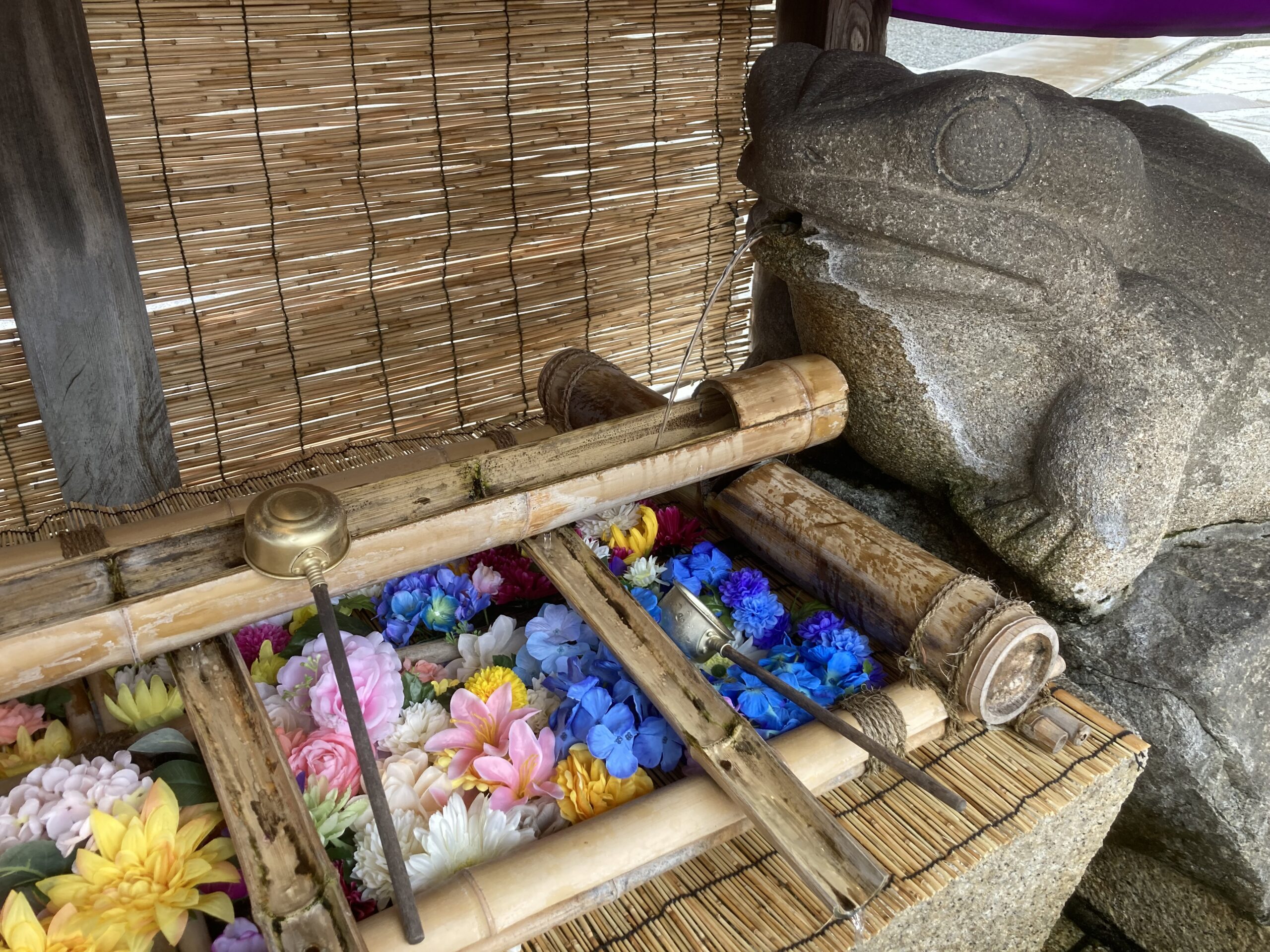 撮りにこんせ‼フォトコンテスト|滋賀・長浜北部|6月25日2枚目 水舎のお花