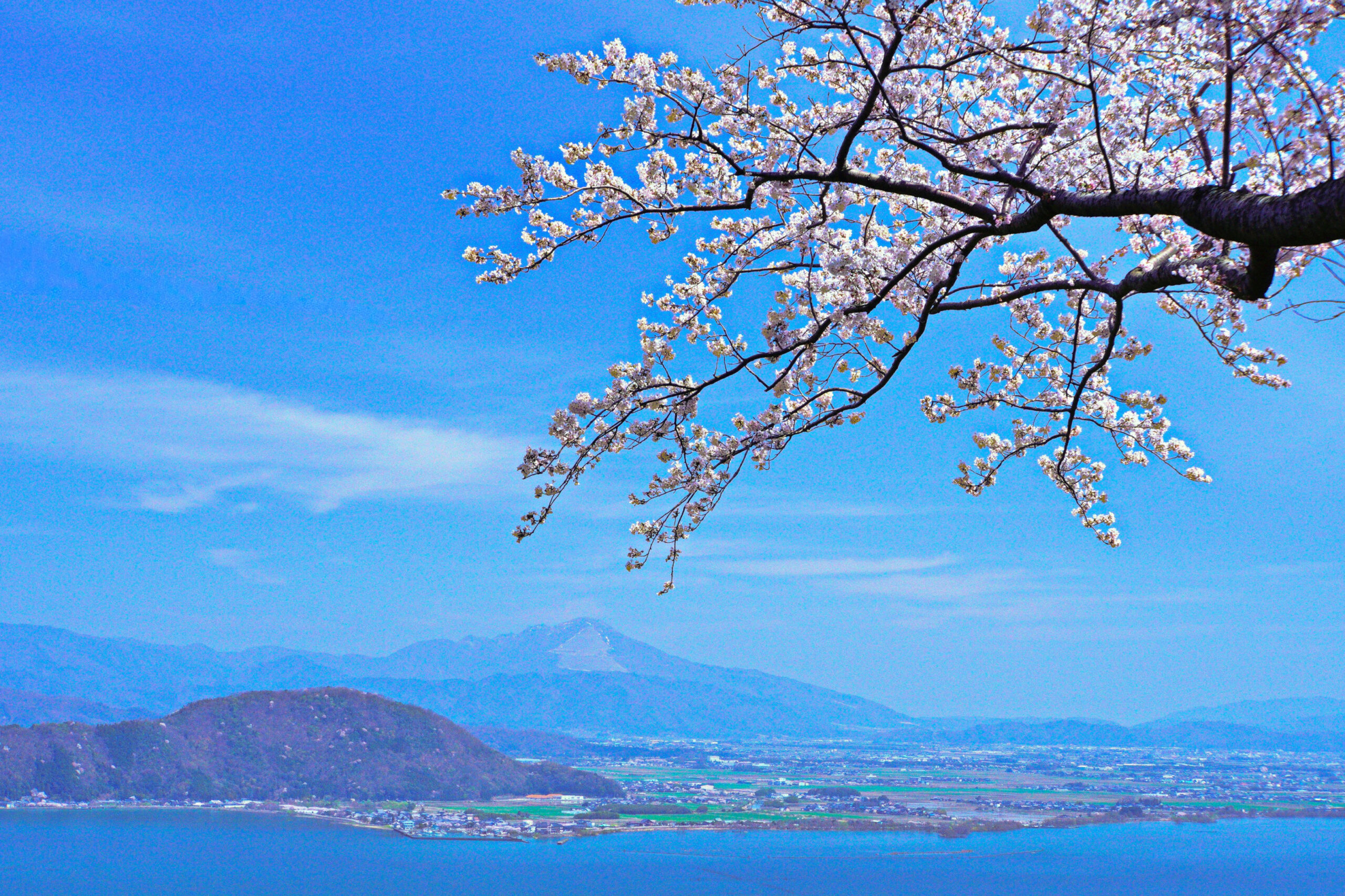 撮りにこんせ‼フォトコンテスト|滋賀・長浜北部|6月20日1枚目 つづら尾崎からの眺望