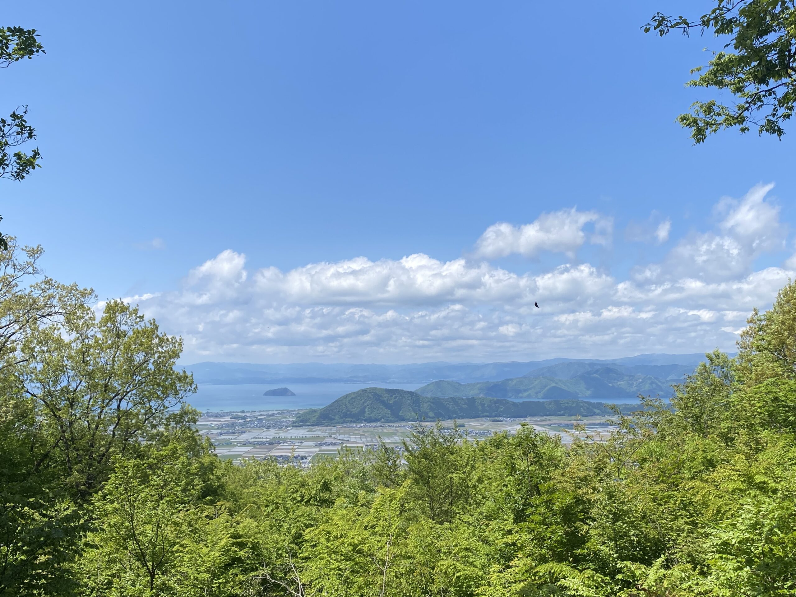 撮りにこんせ‼フォトコンテスト|滋賀・長浜北部|6月18日7枚目 小谷城跡山頂から見る竹生島