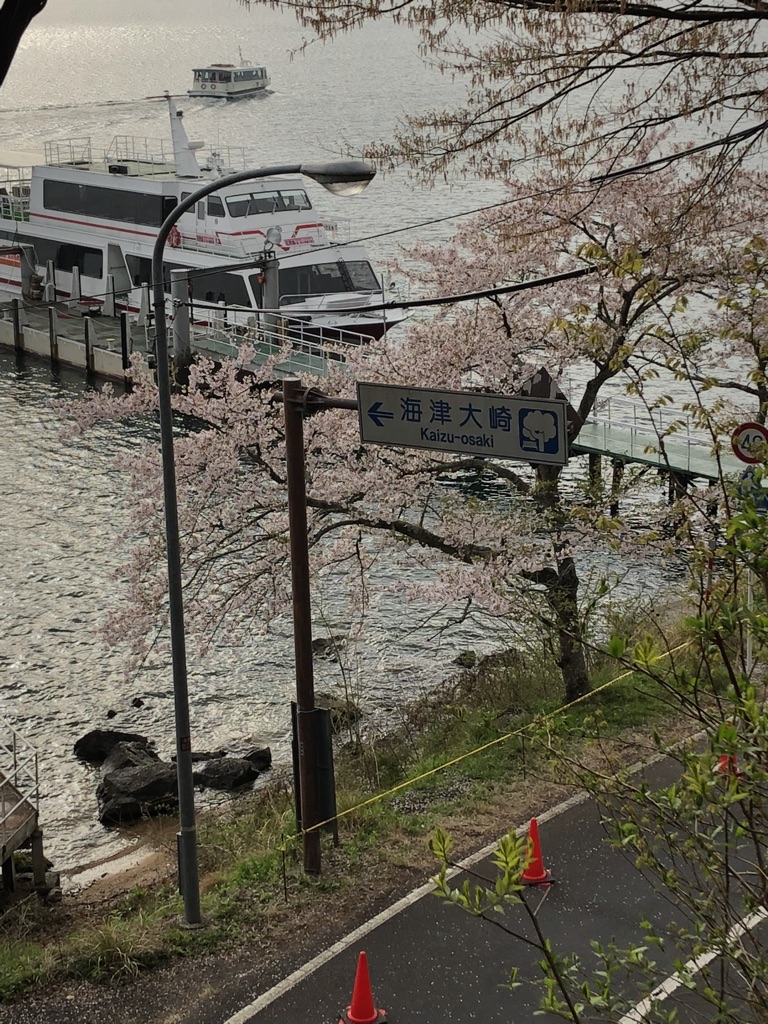 撮りにこんせ‼フォトコンテスト|滋賀・長浜北部|7月4日1枚目 船でお花見