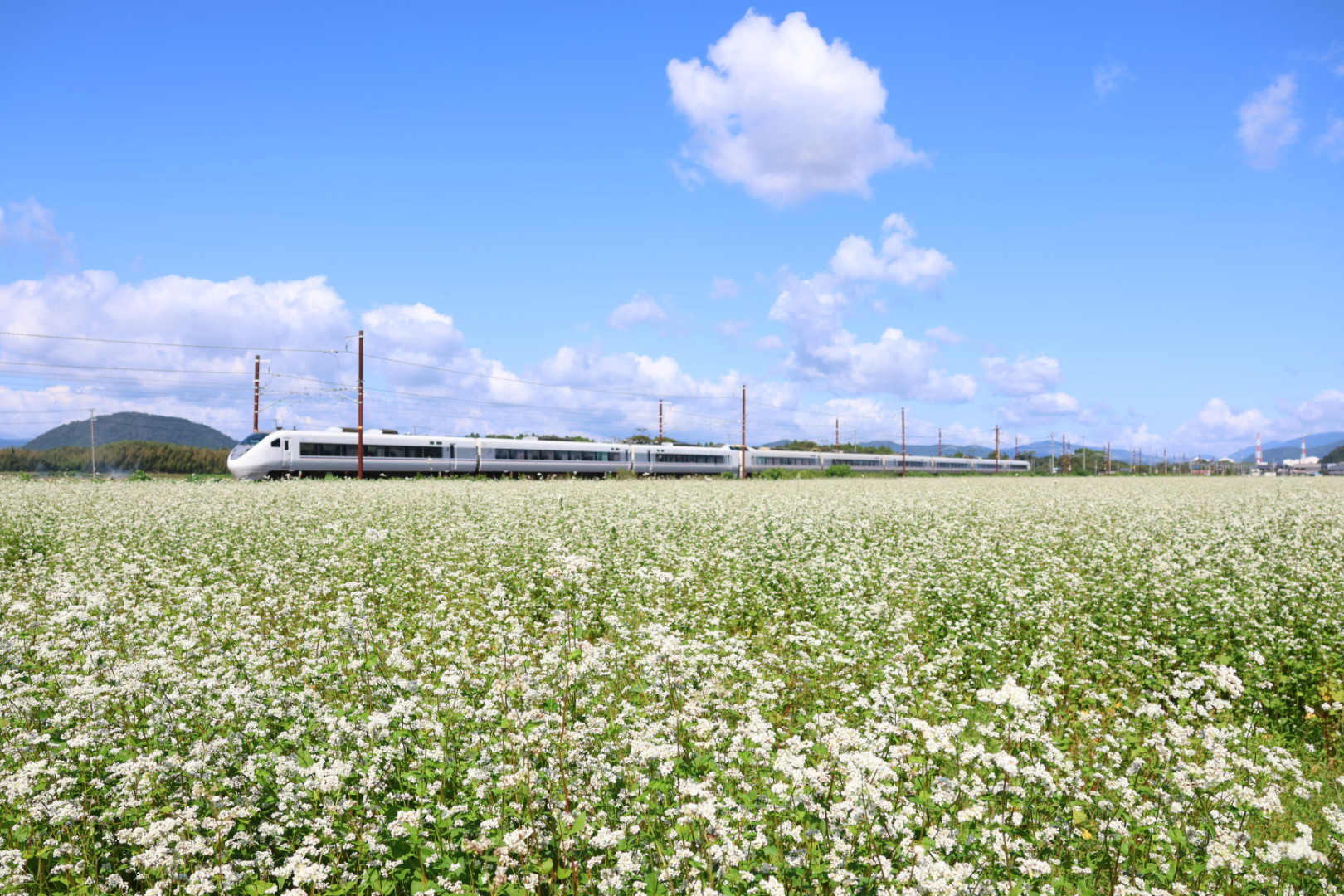 撮りにこんせ‼フォトコンテスト|滋賀・長浜北部|7月15日9枚目 『車窓はいかが?』